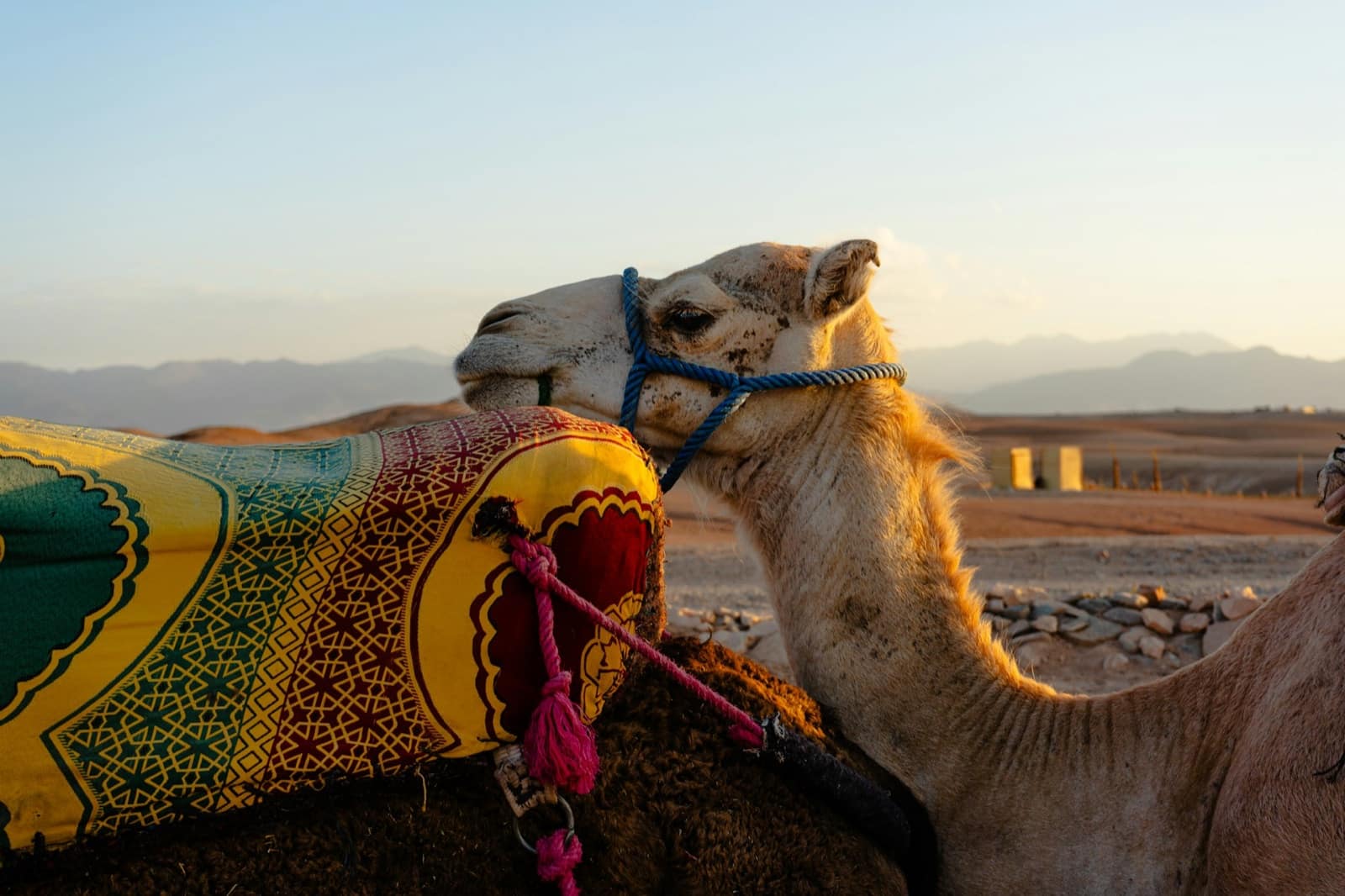 Marrakech en amoureux