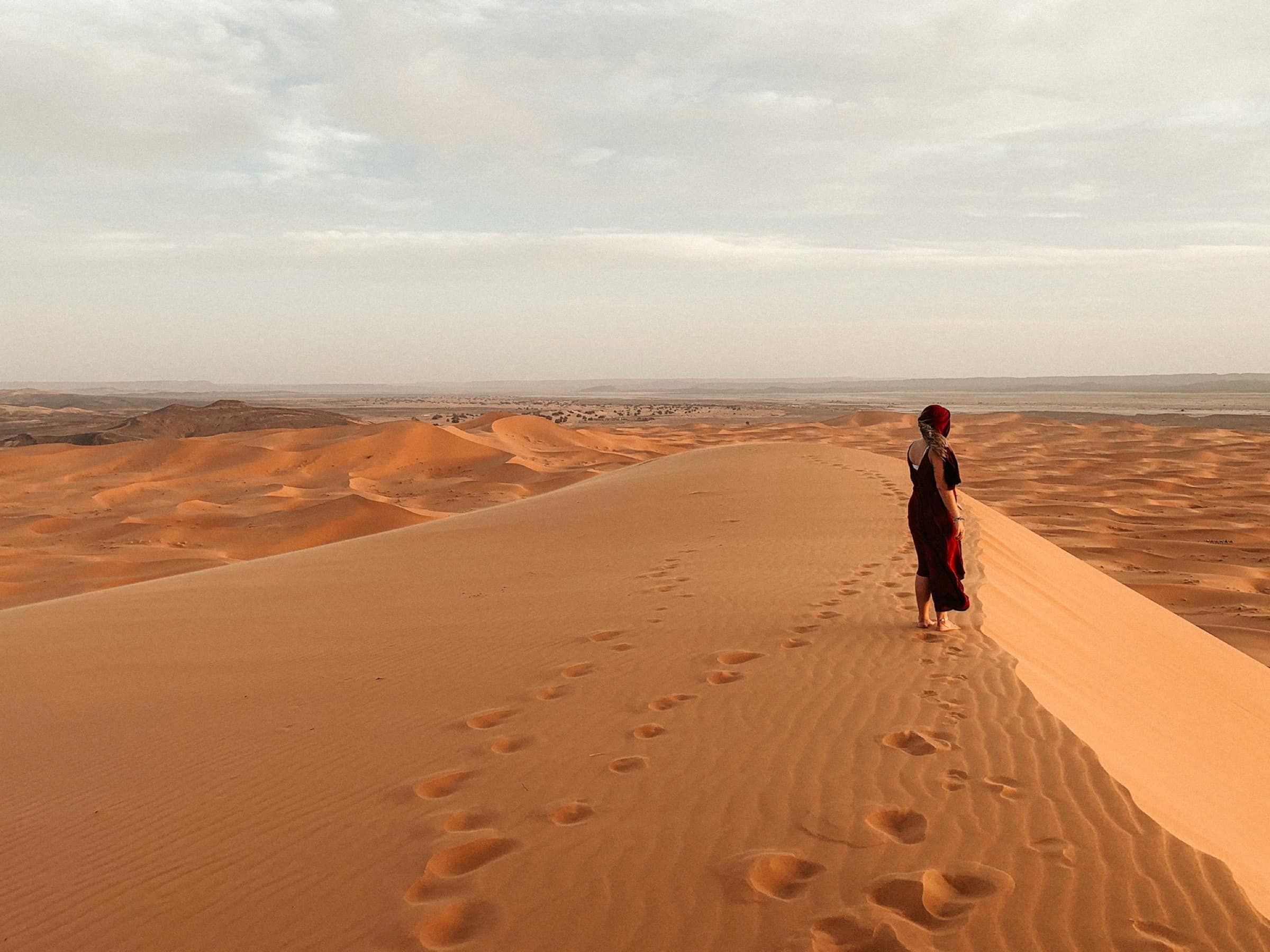 Les dunes de l'Erg Chebbi à perte de vue, au petit matin.