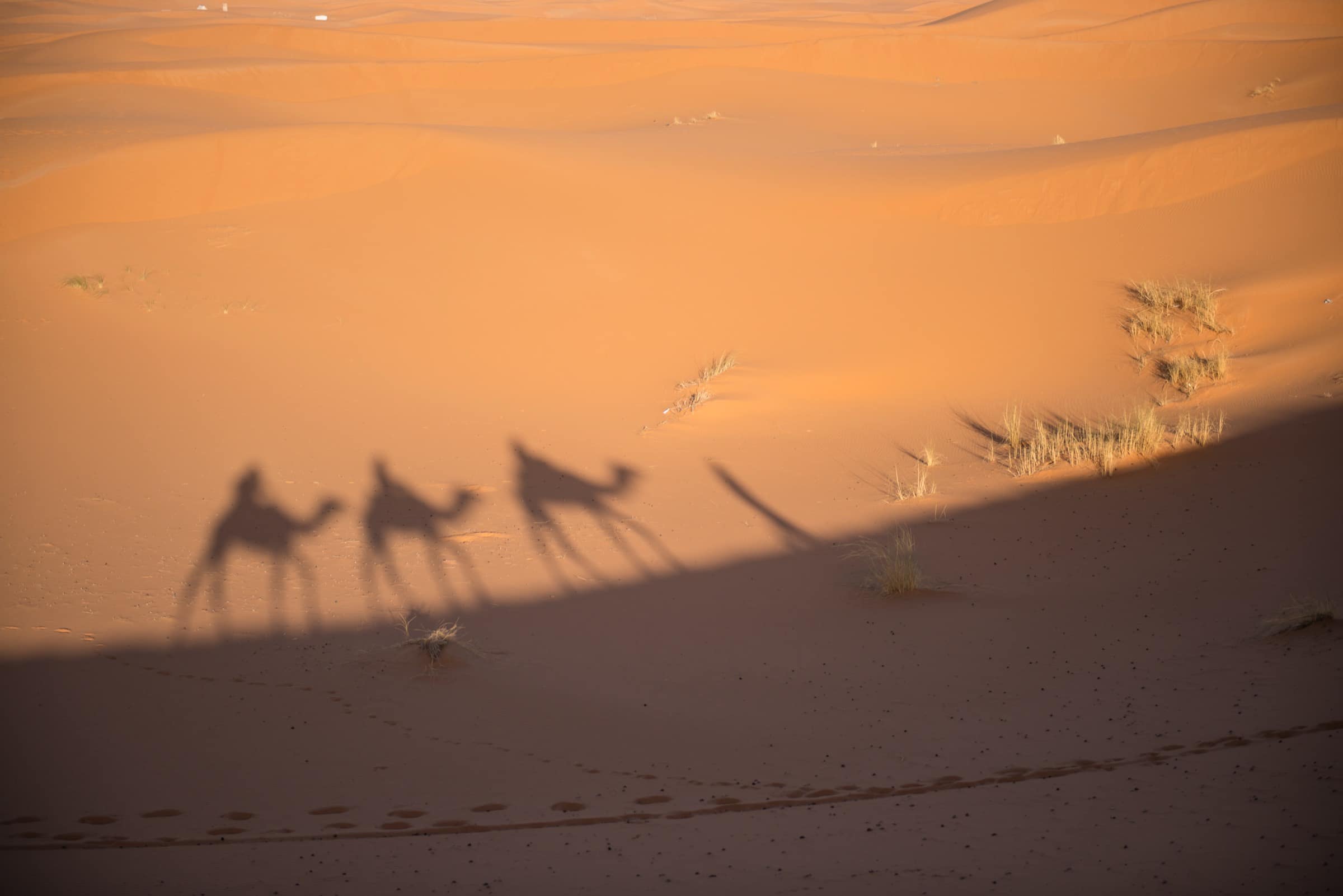 Merzouga et les grandes dunes