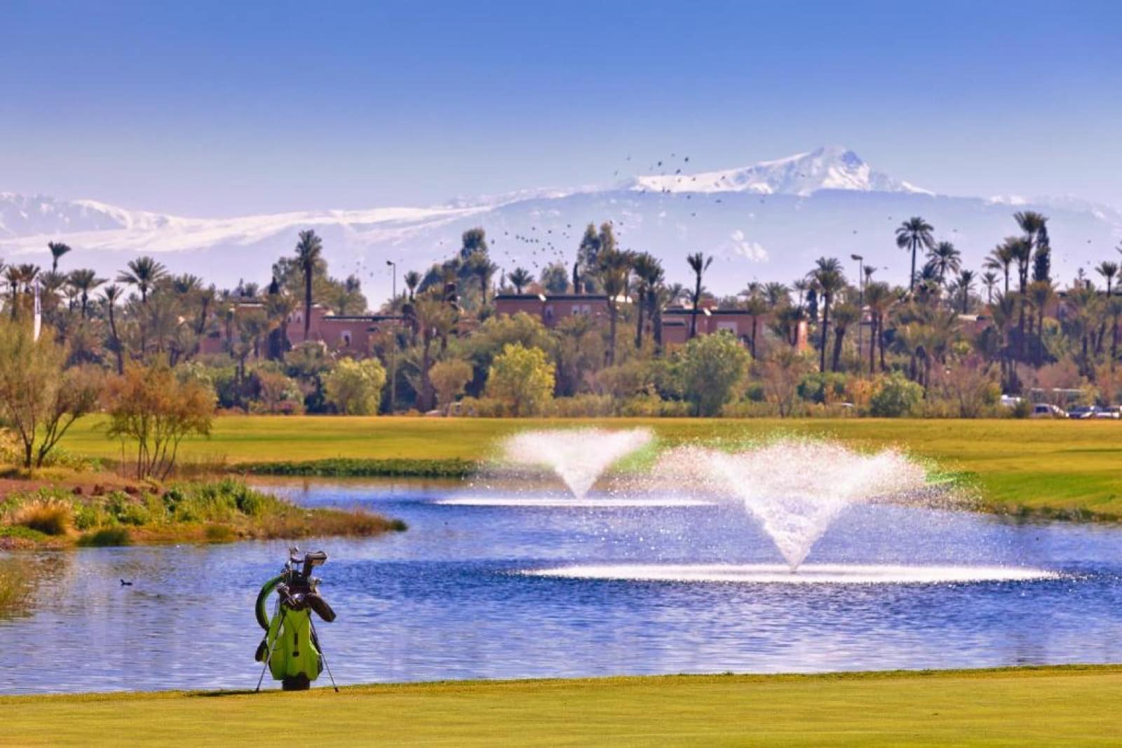 Le golf et les resorts