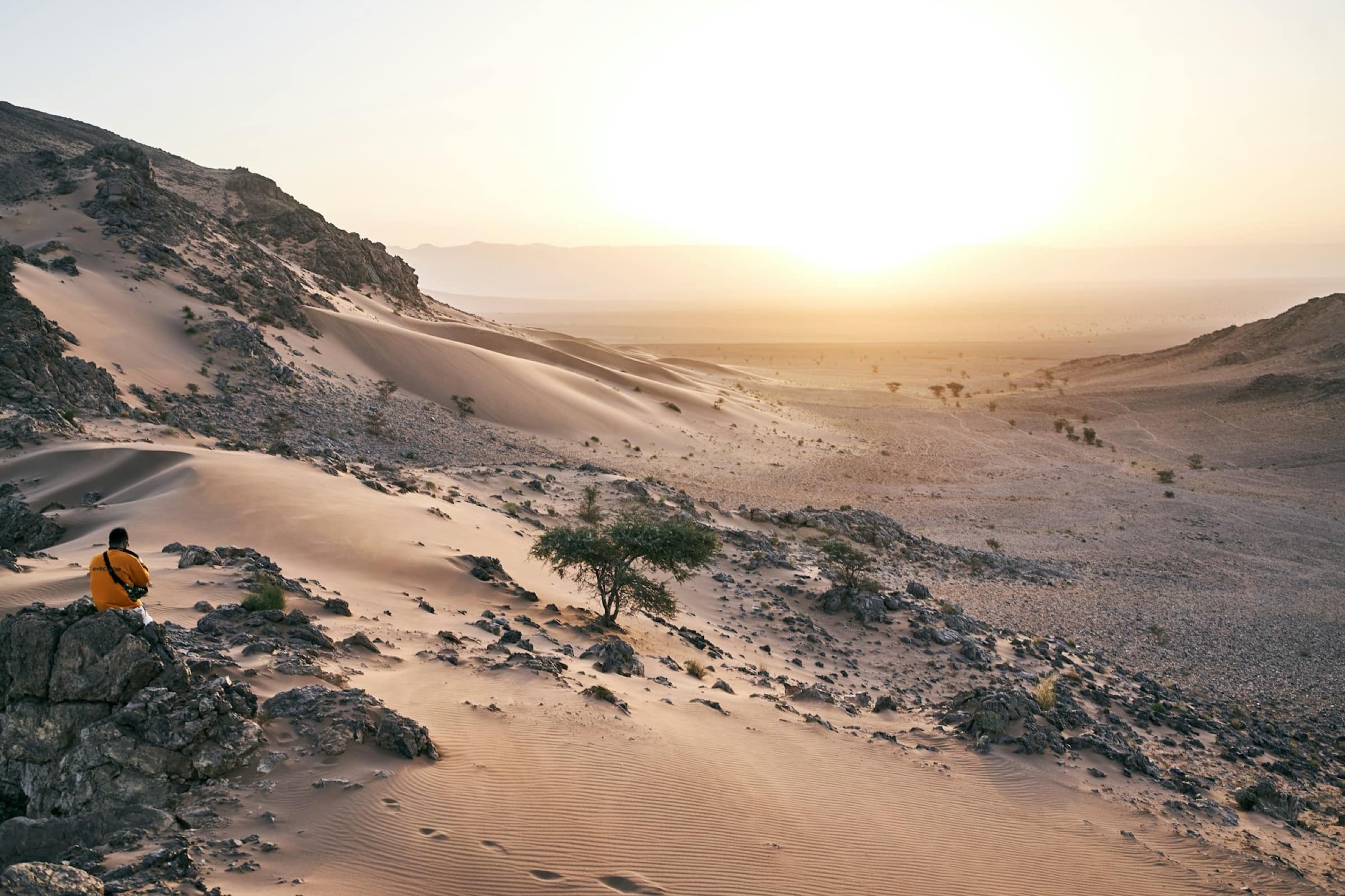 Le désert de Zagora au coucher du soleil, entre sable et pierre.